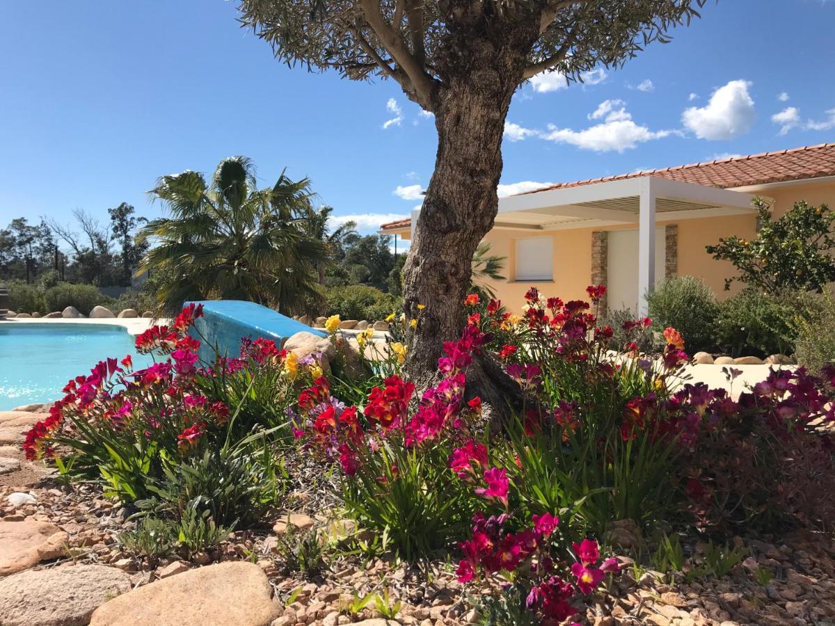L'Hacienda Piscine Chauffee A 28, Spa, Boulodrome Et Court De Tennis Prives, 2 Villas Independantes بورتو فيكشْيو المظهر الخارجي الصورة